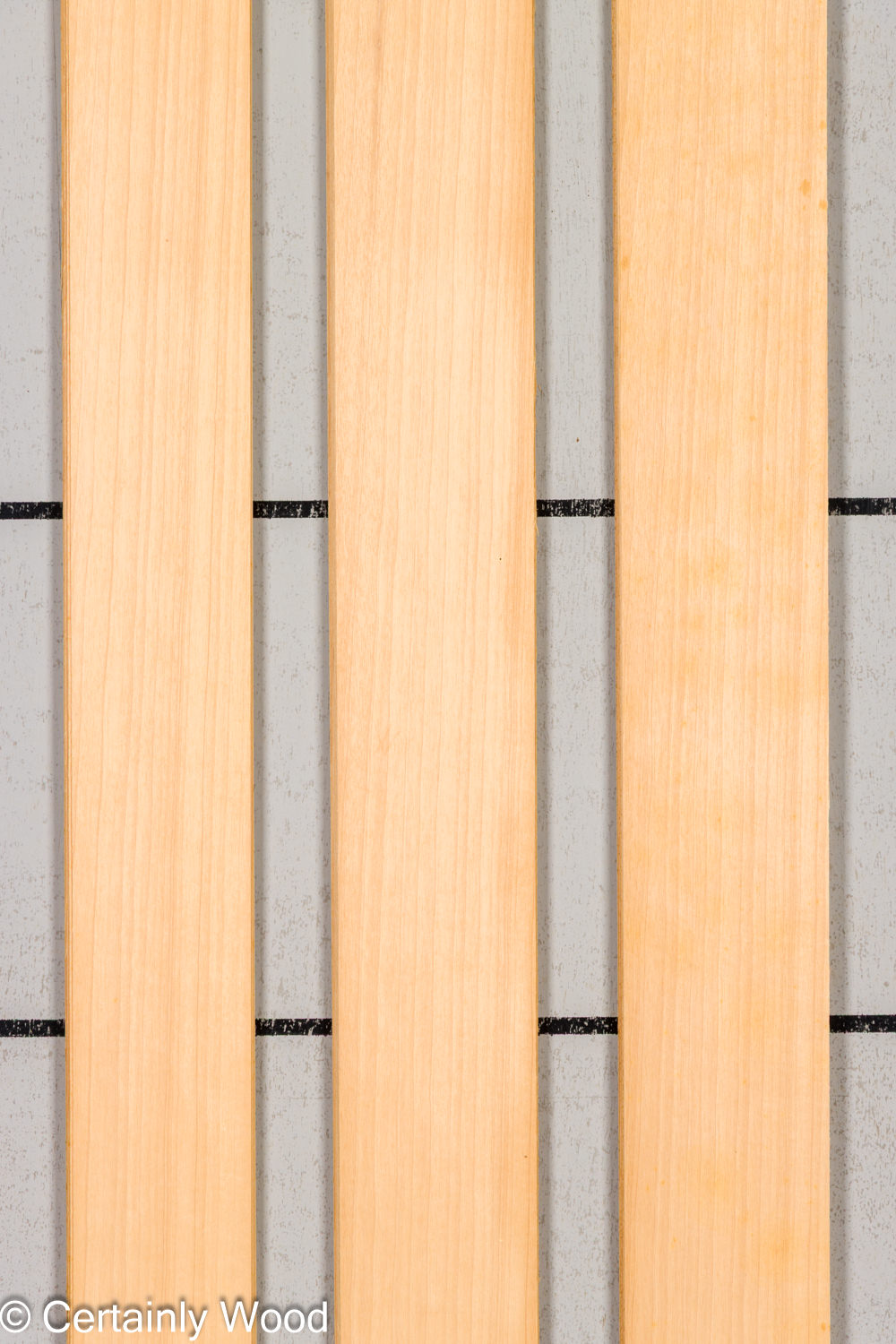 Featured Product Image