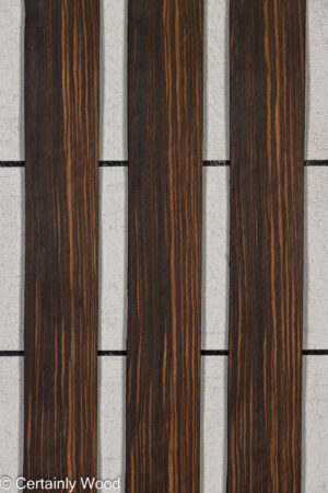 QT EBONY 26150-1A