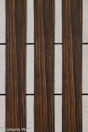 QT EBONY 26150-1B