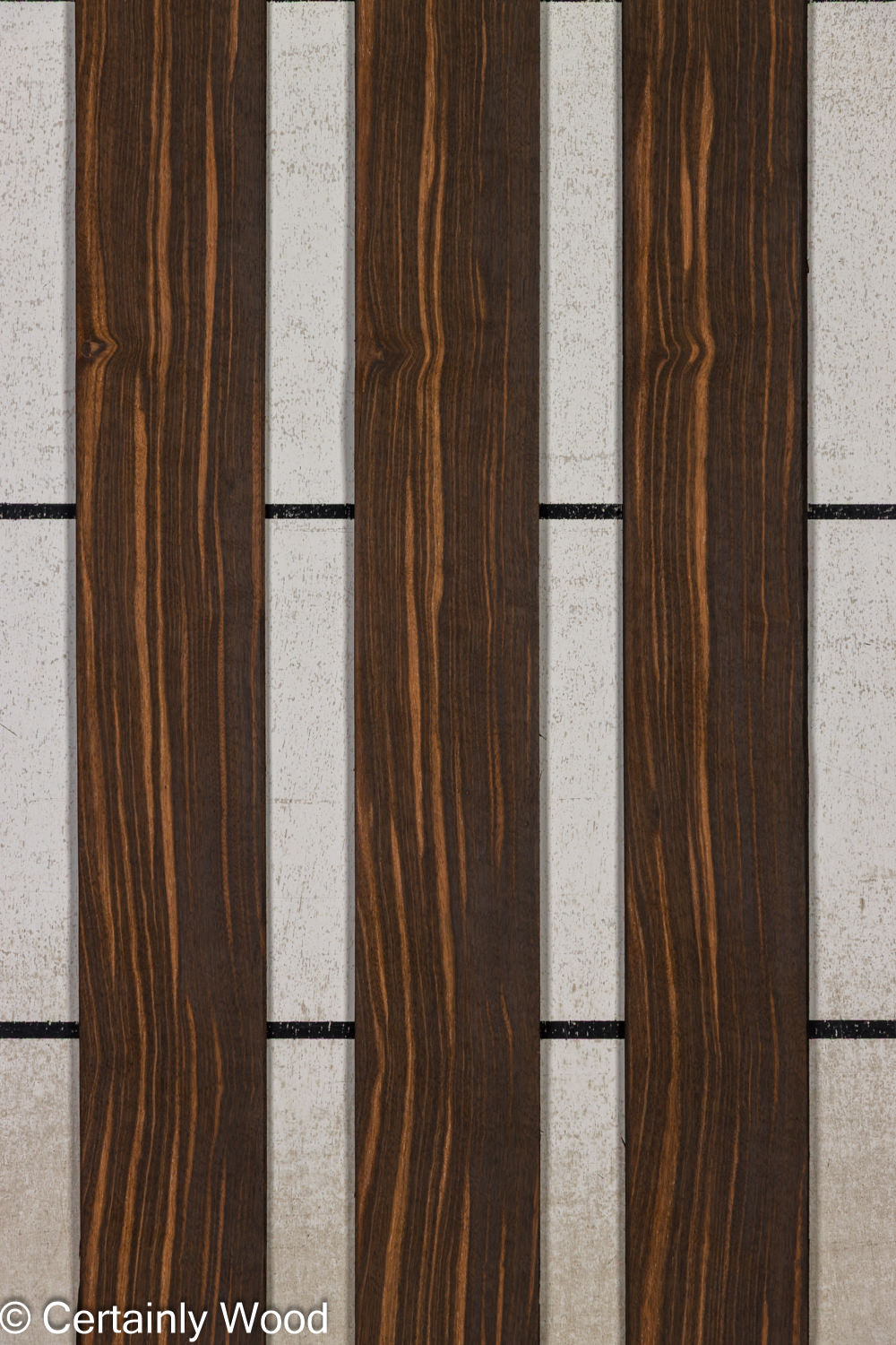 Featured Product Image