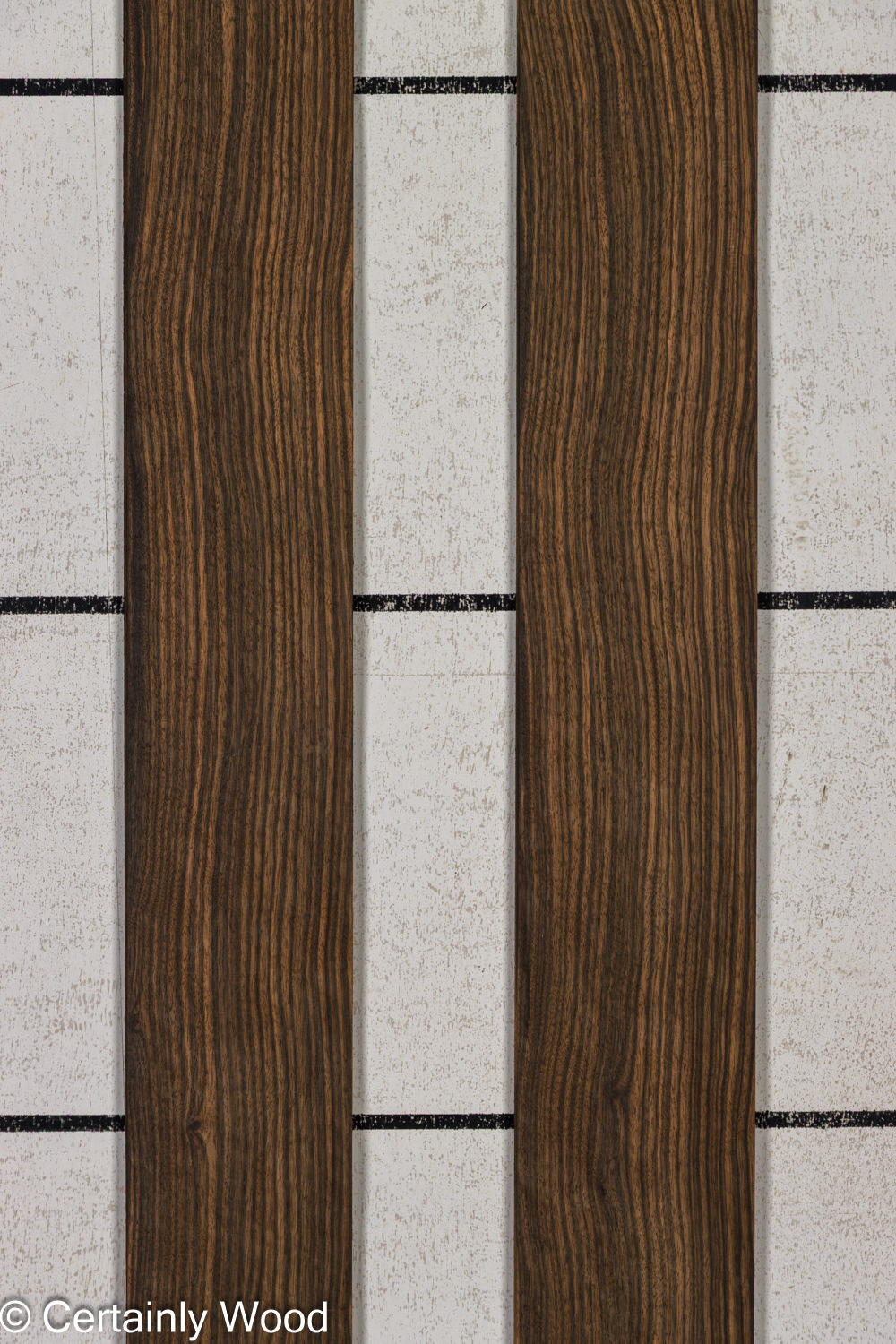 Featured Product Image