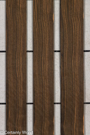 QT EBONY 26152-1B