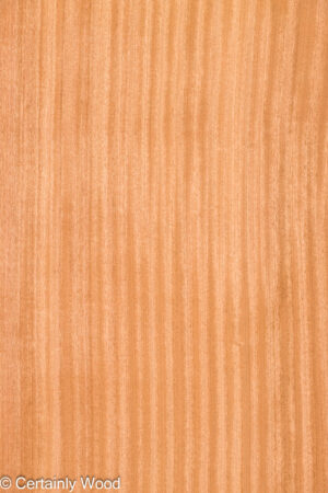 QT SAPELE 26256-1A