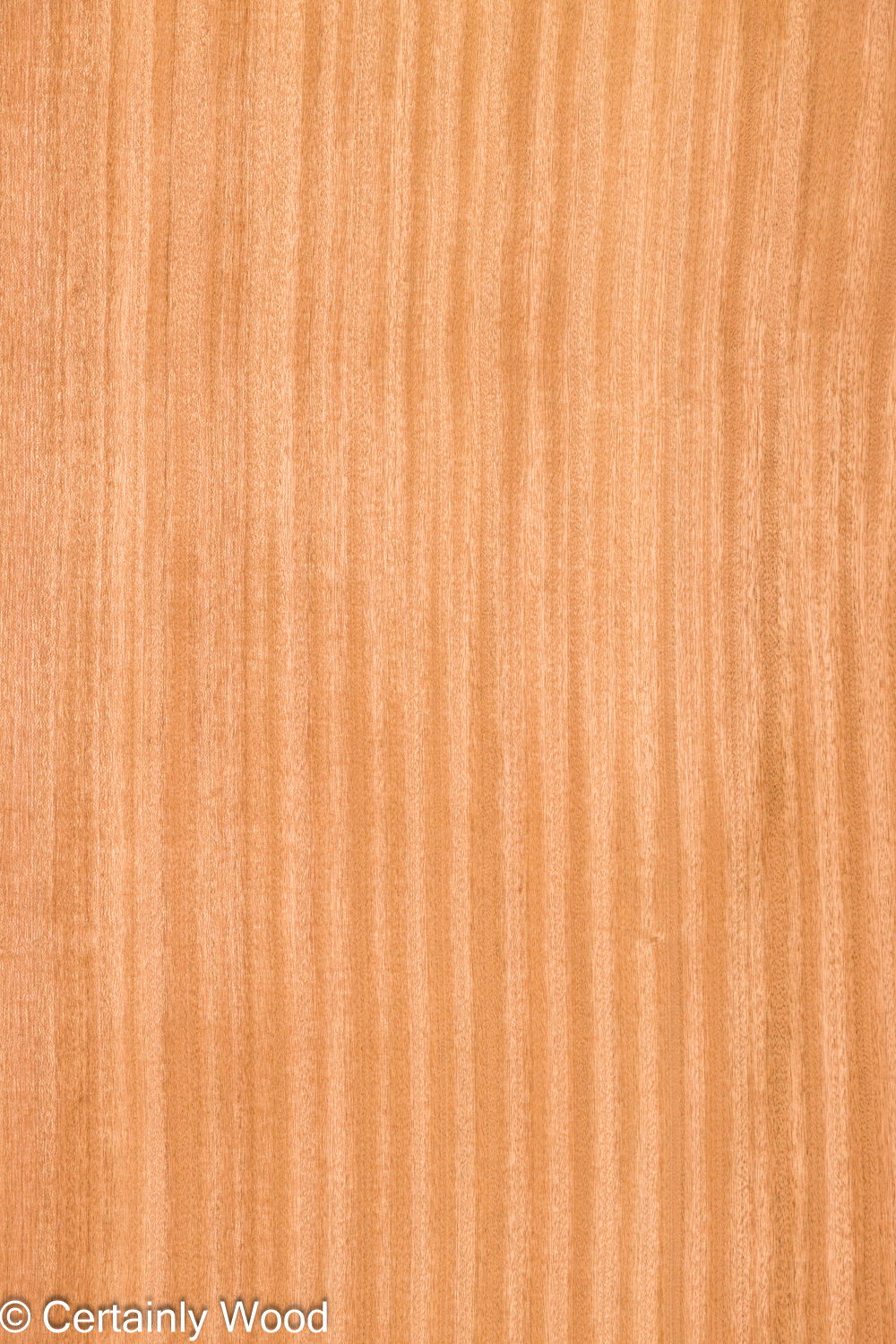 Featured Product Image