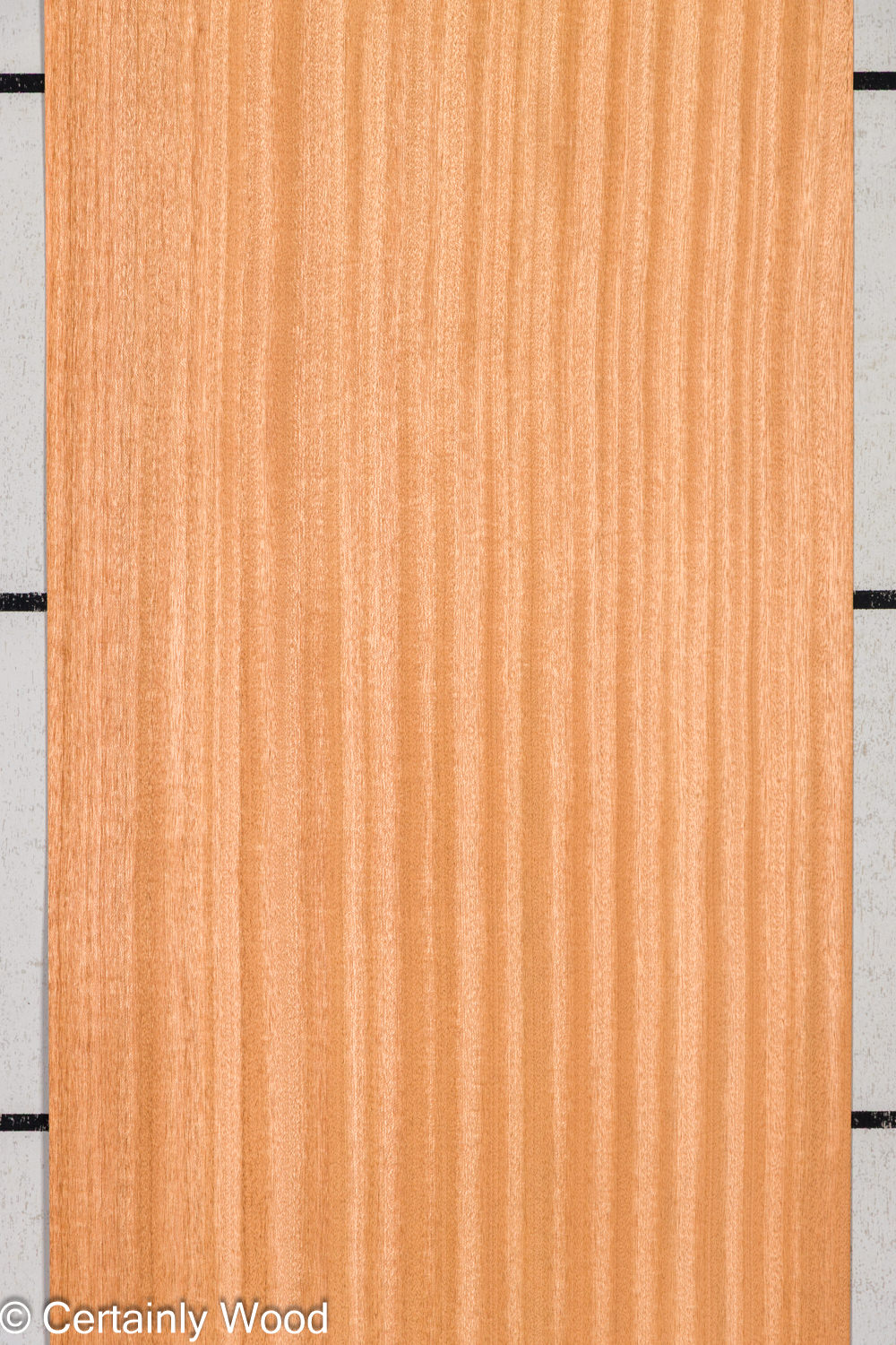 Featured Product Image