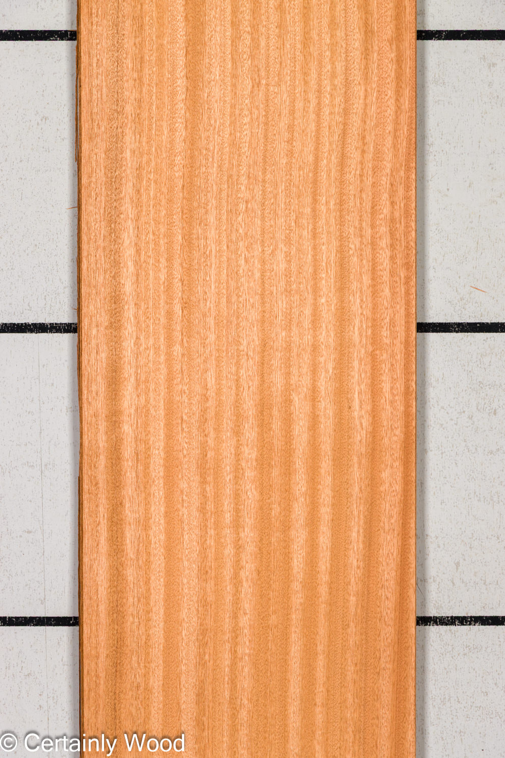 Featured Product Image