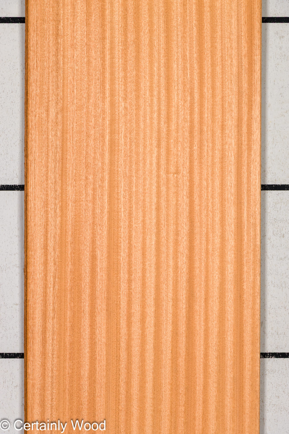 Featured Product Image