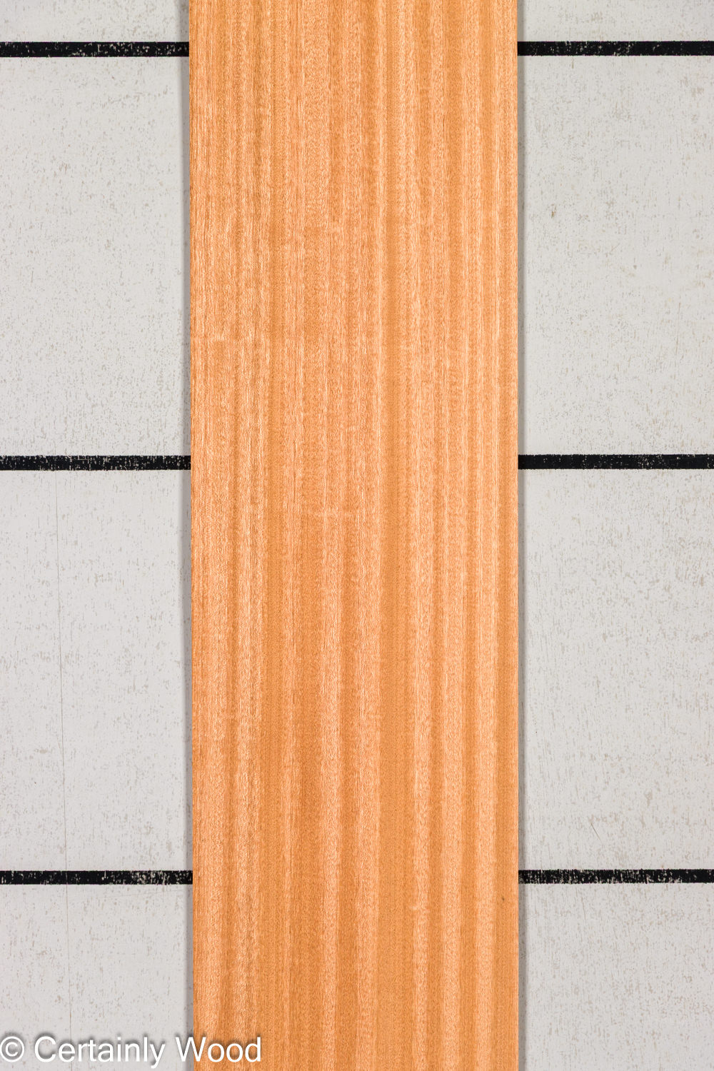 Featured Product Image