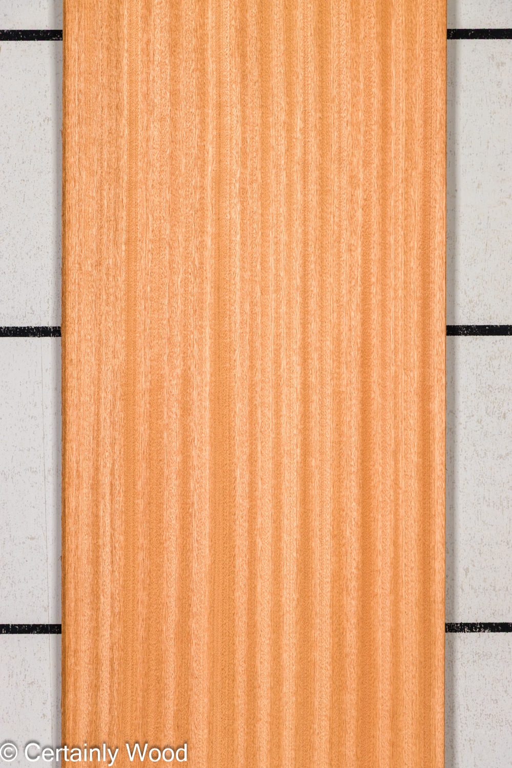 Featured Product Image