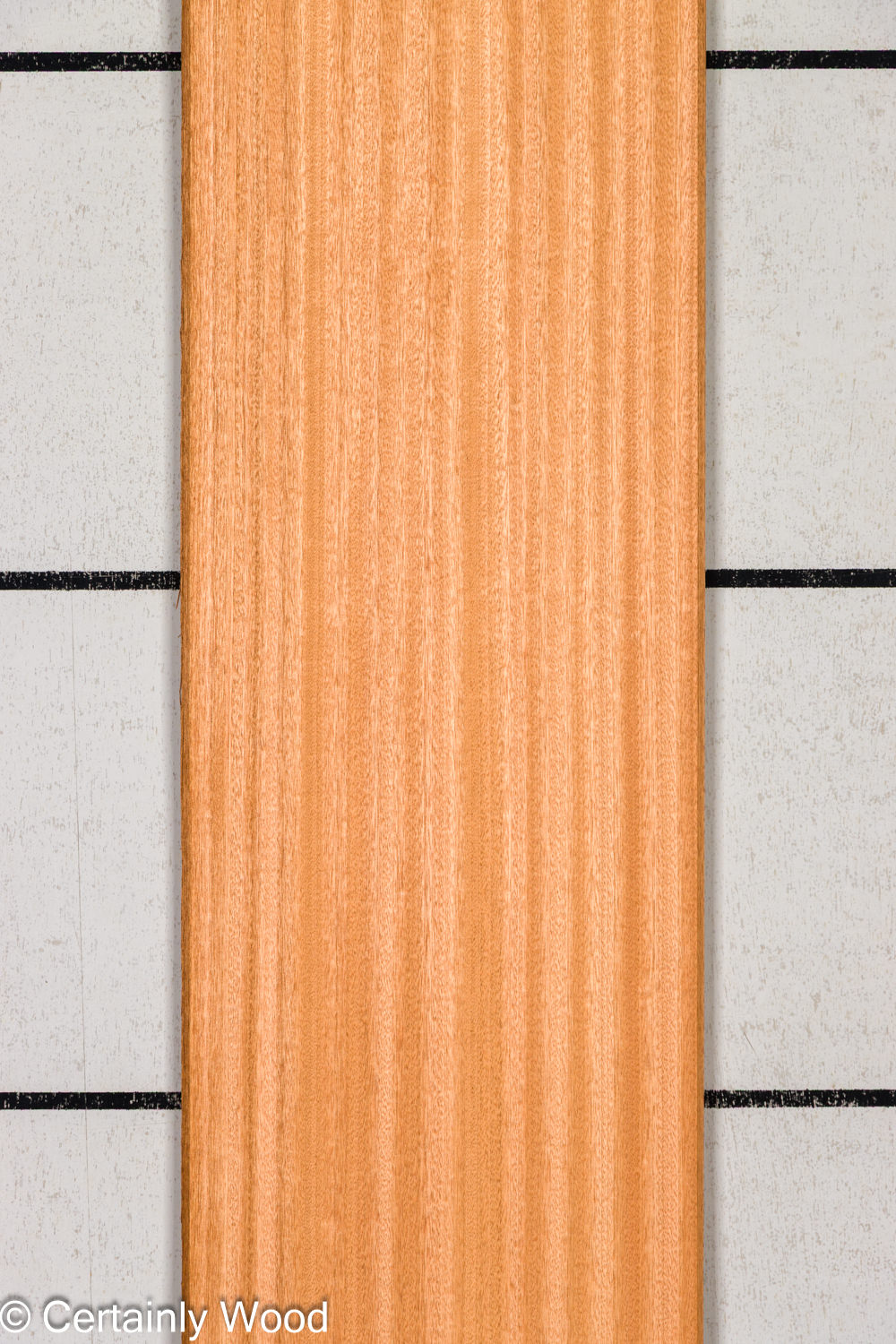 Featured Product Image