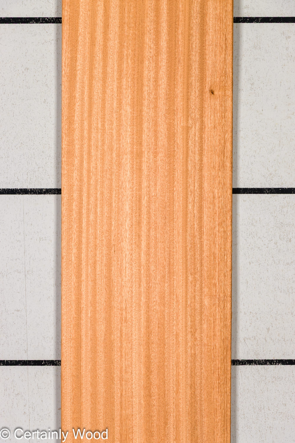 Featured Product Image