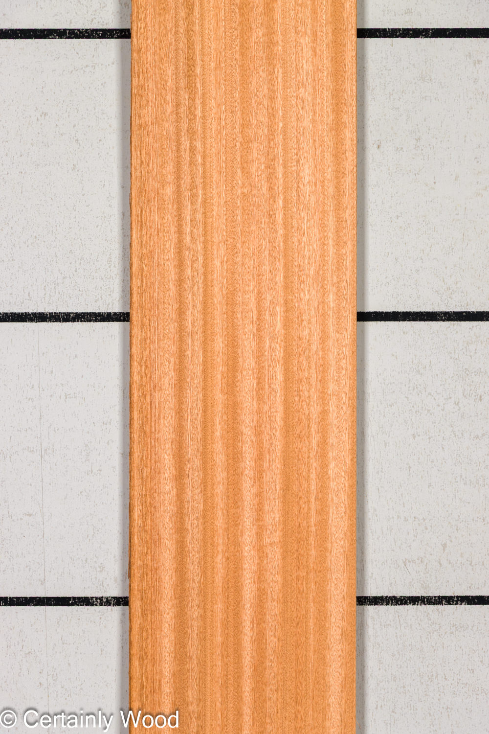 Featured Product Image