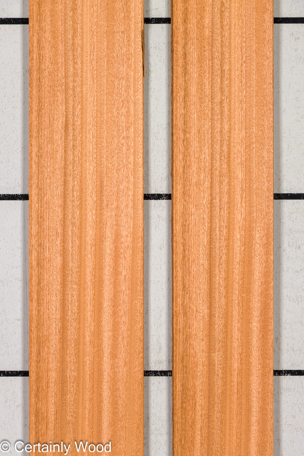 Featured Product Image