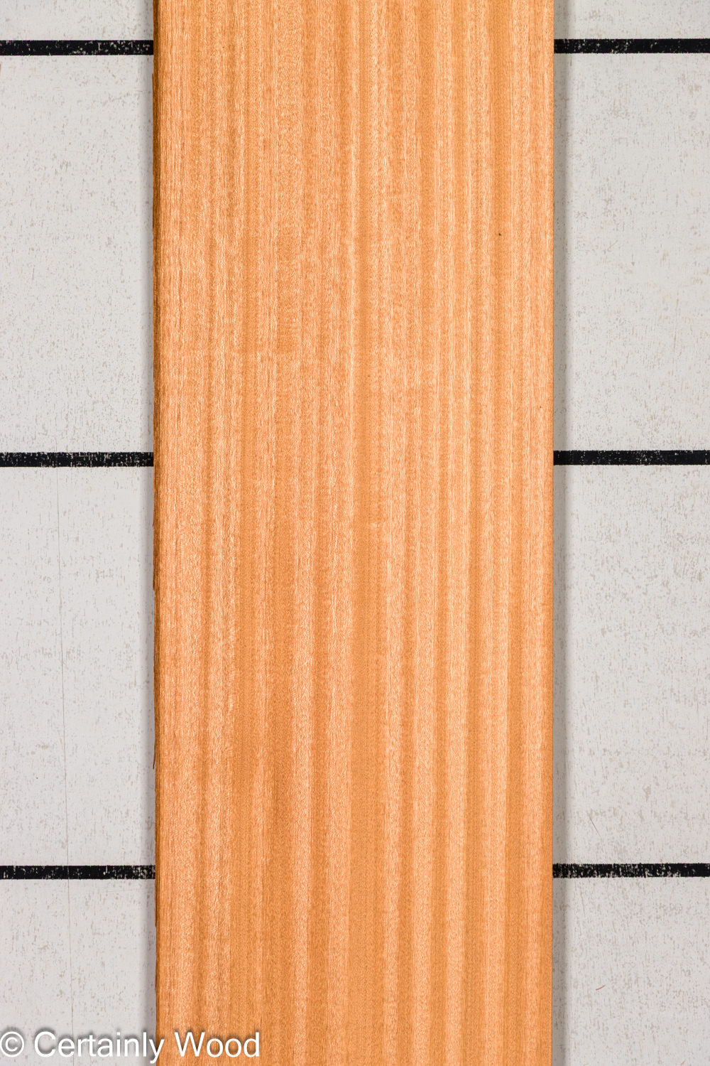 Featured Product Image