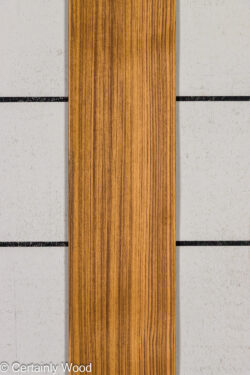 QT_TEAK_26241_1