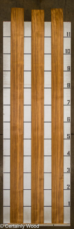 QT_TEAK_26241_2