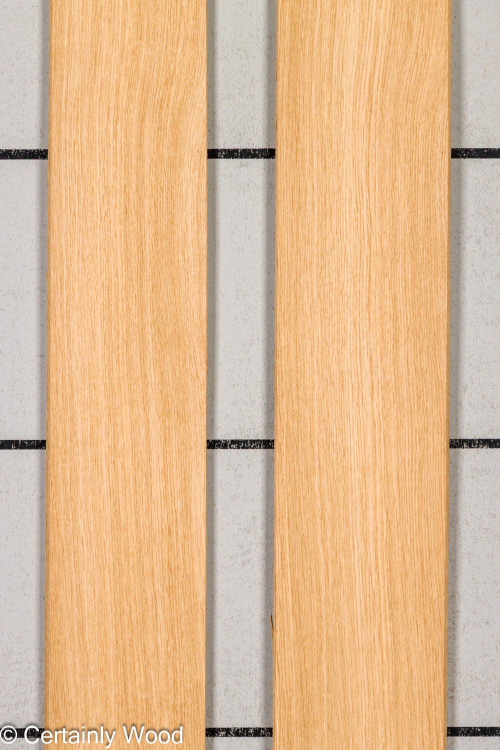 Featured Product Image