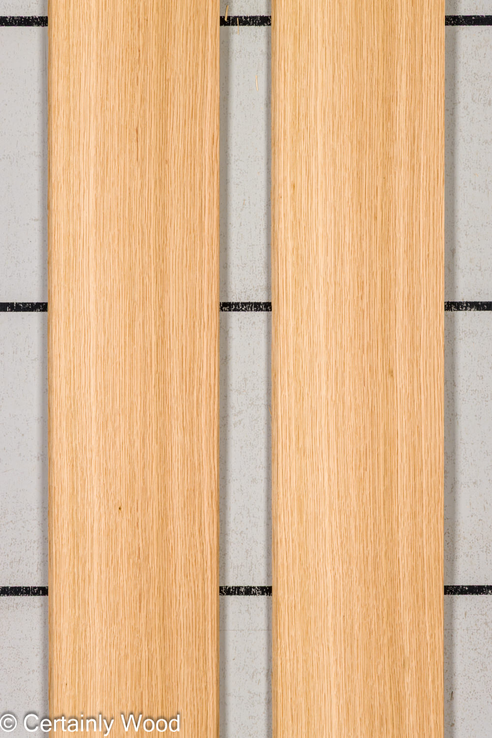 Featured Product Image