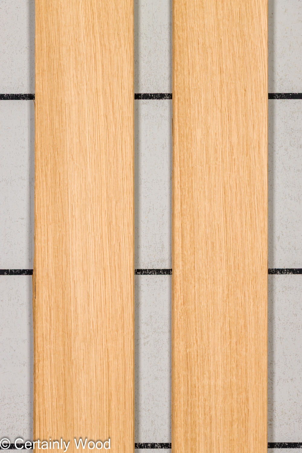 Featured Product Image