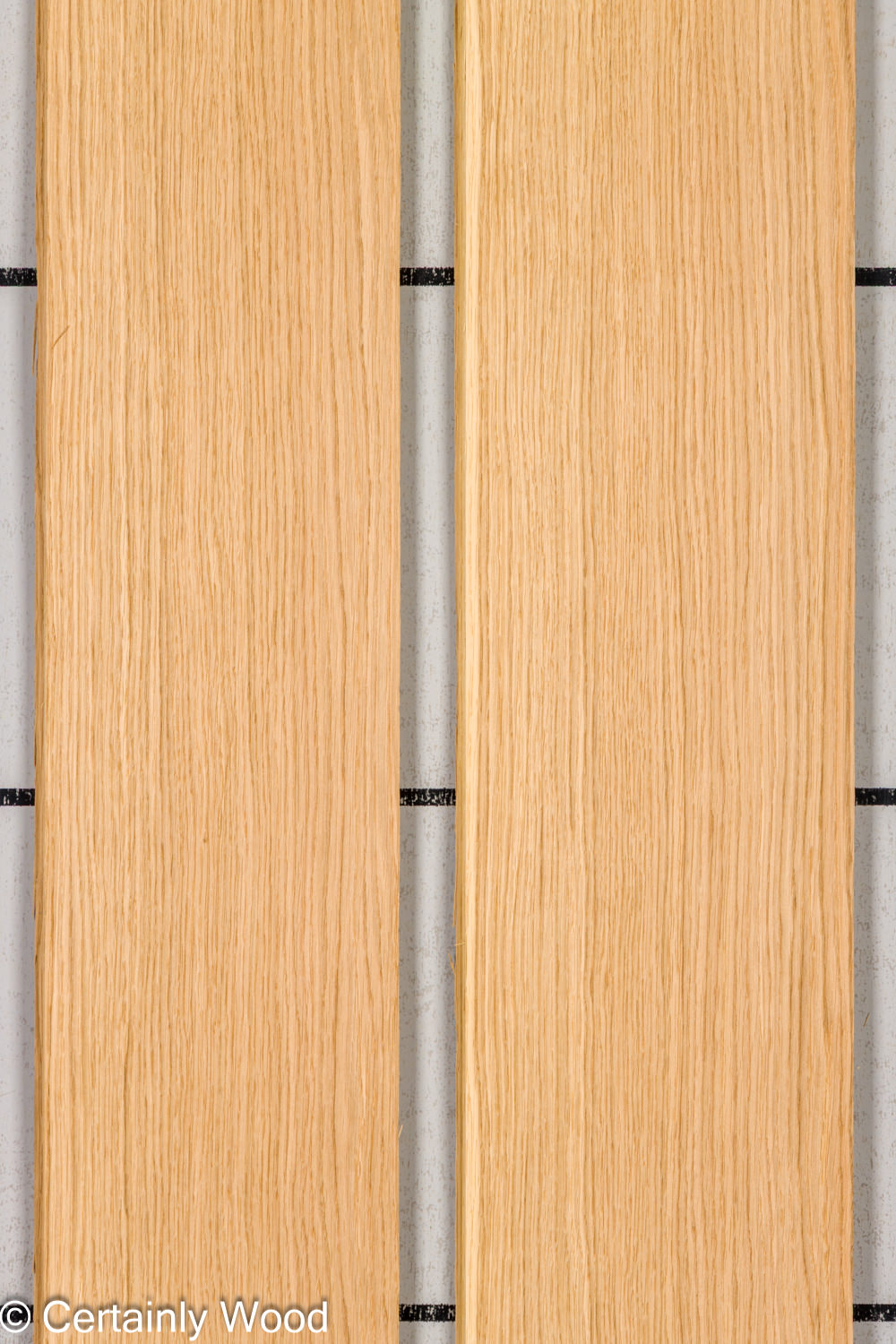Featured Product Image