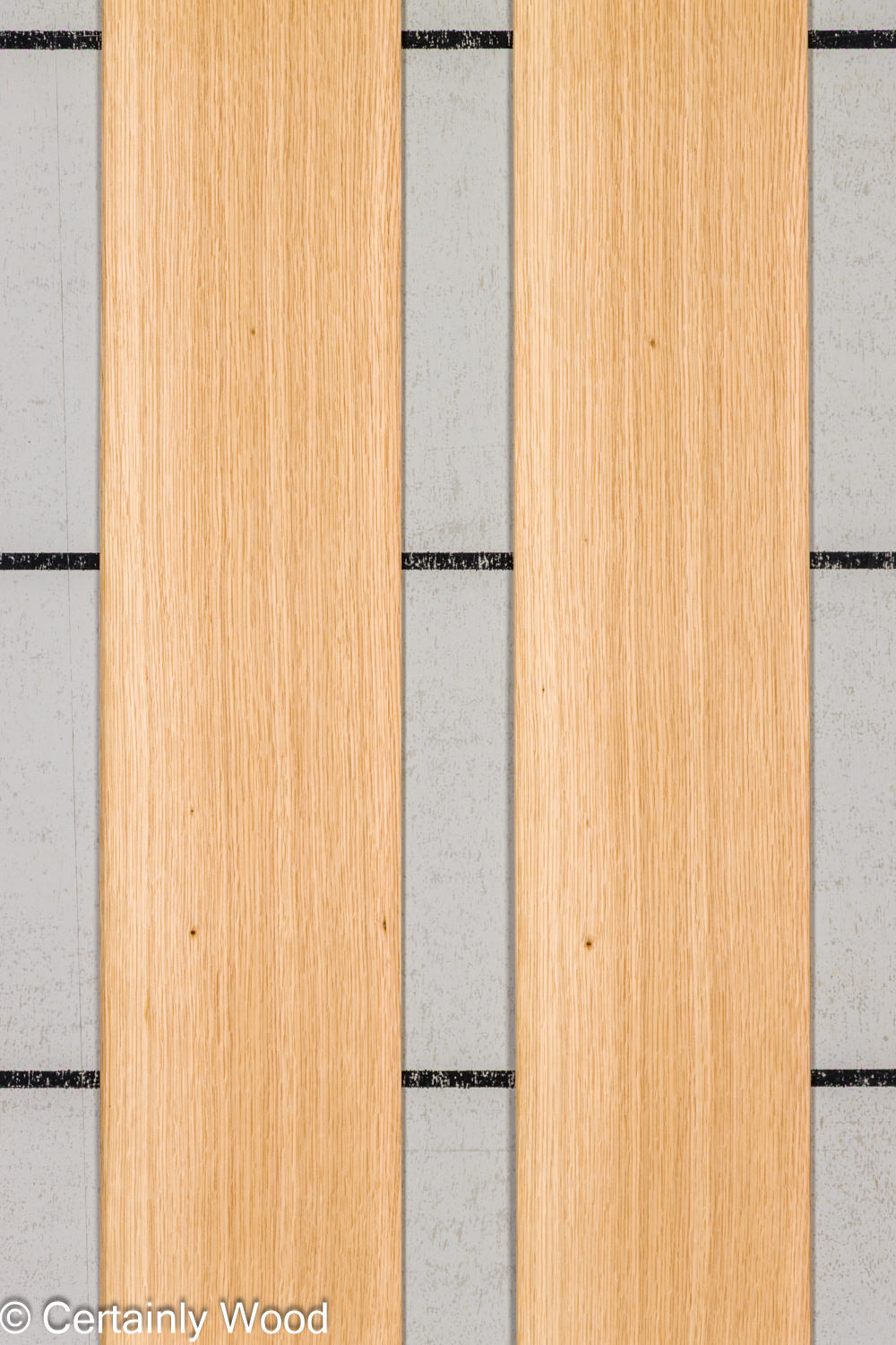 Featured Product Image