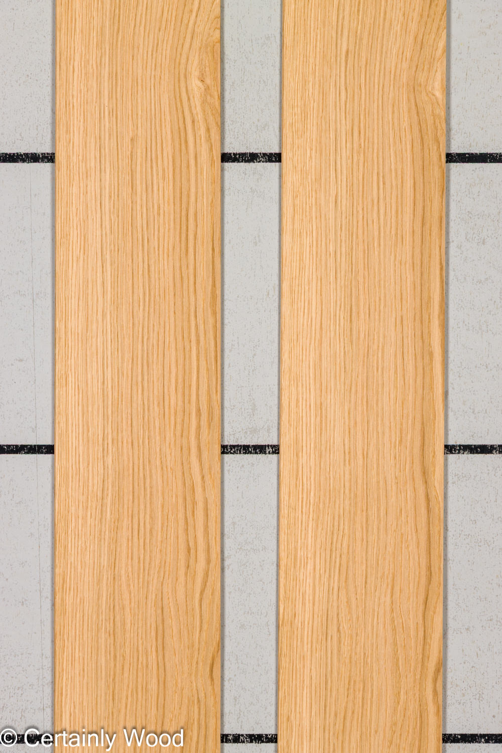 Featured Product Image