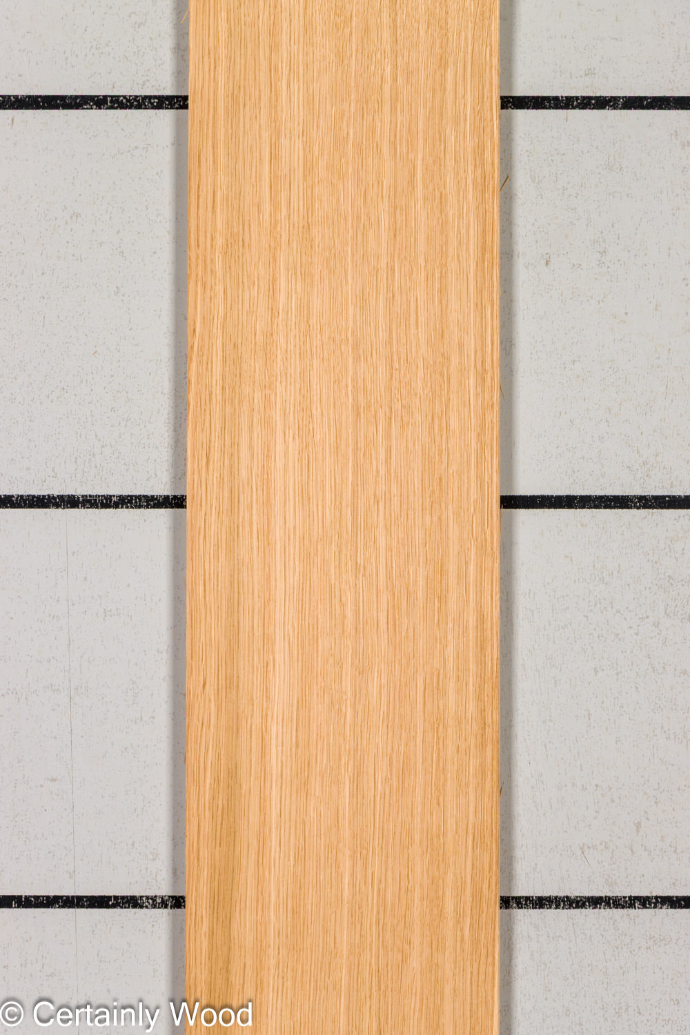 Featured Product Image