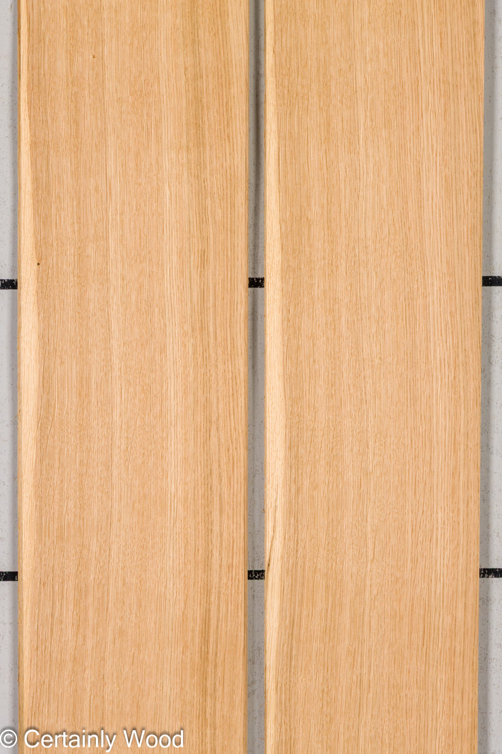 Featured Product Image