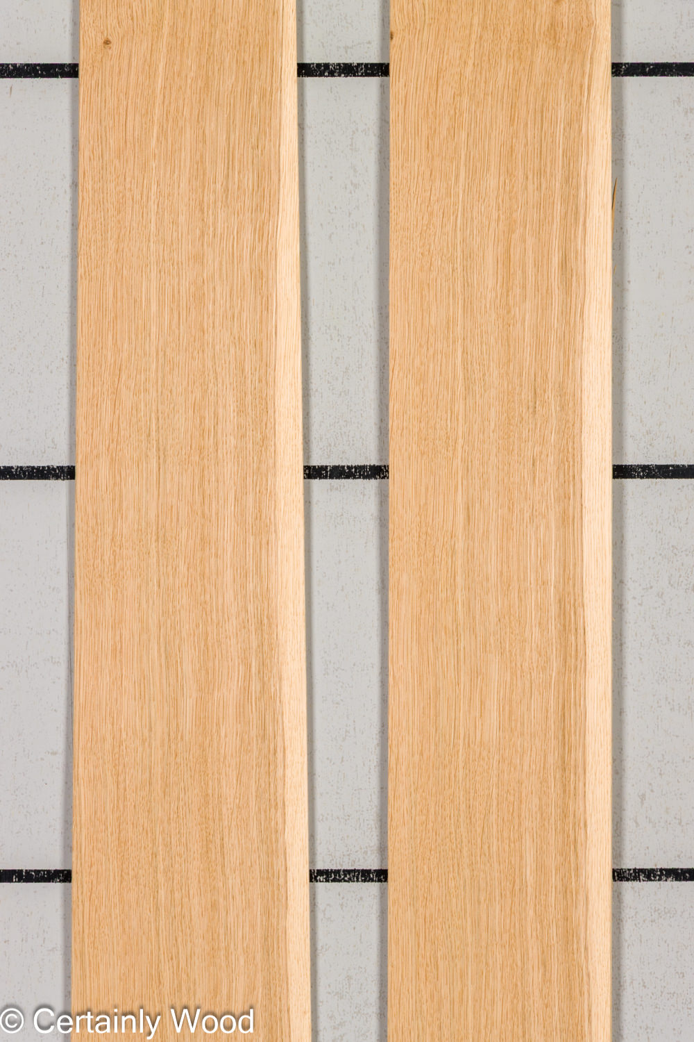 Featured Product Image