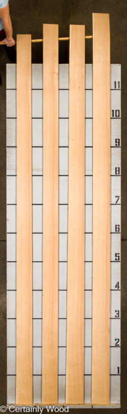 RF_EU_W_OAK_26106-4_2