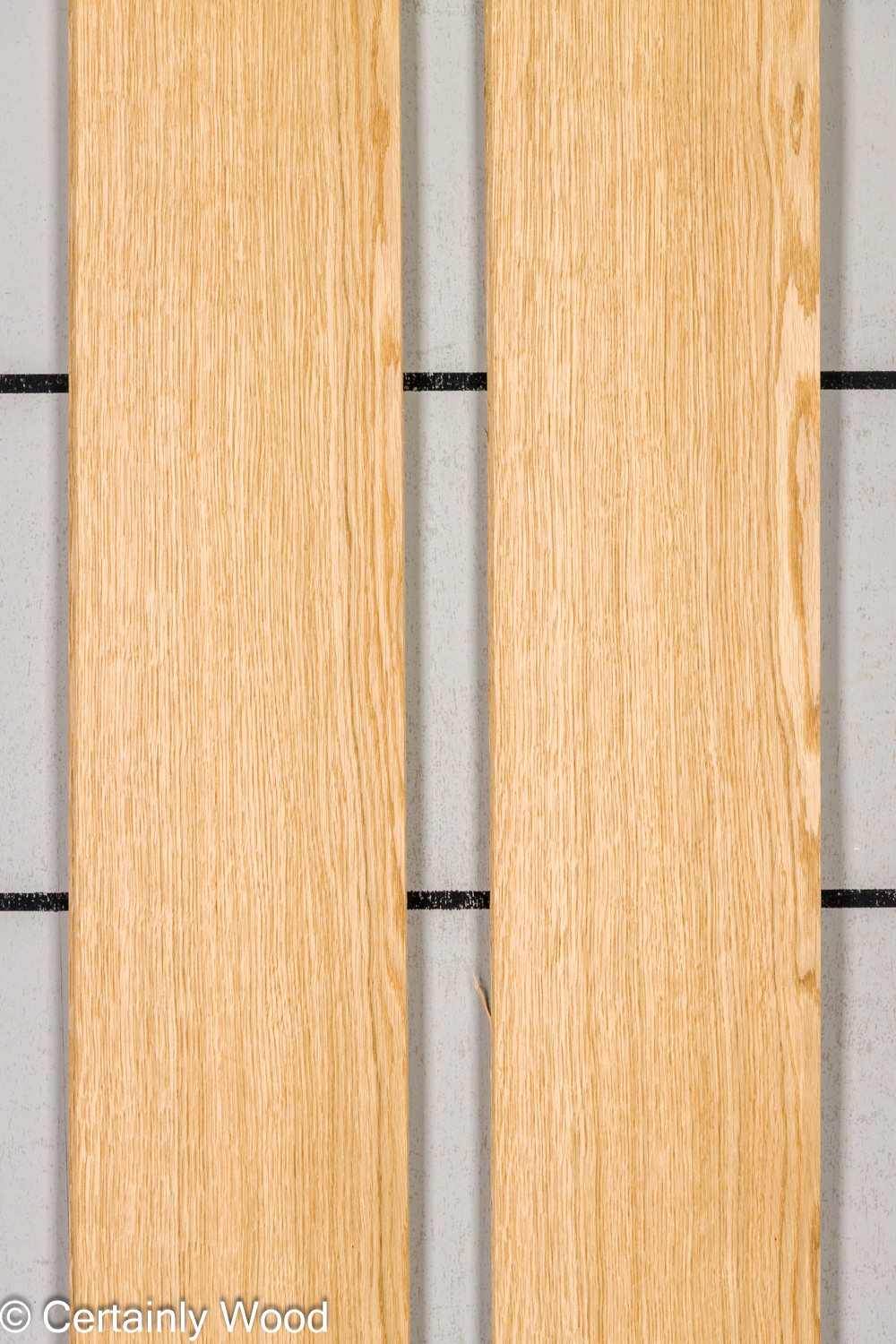 Featured Product Image