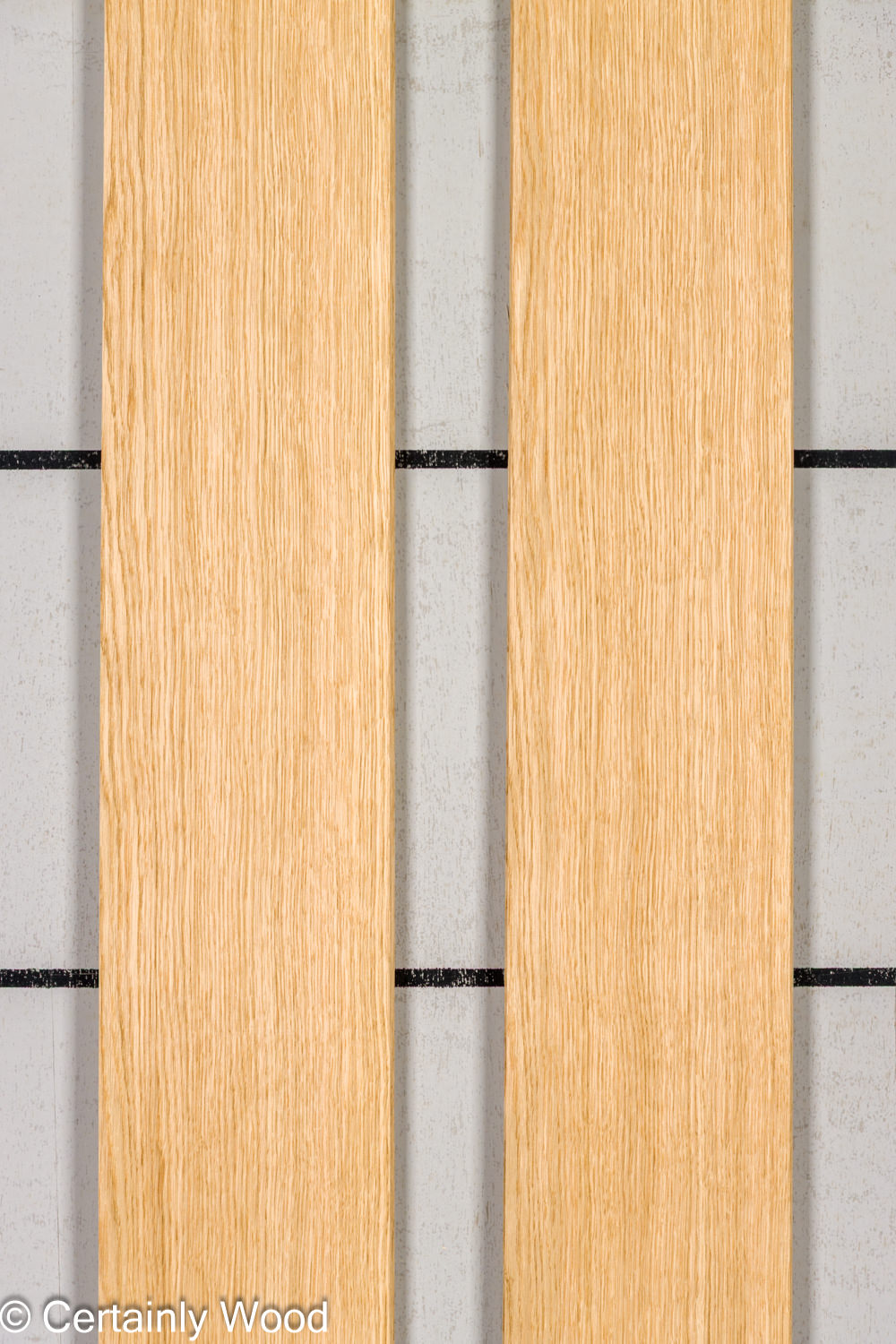 Featured Product Image