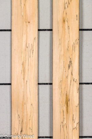 SP MAPLE 25046