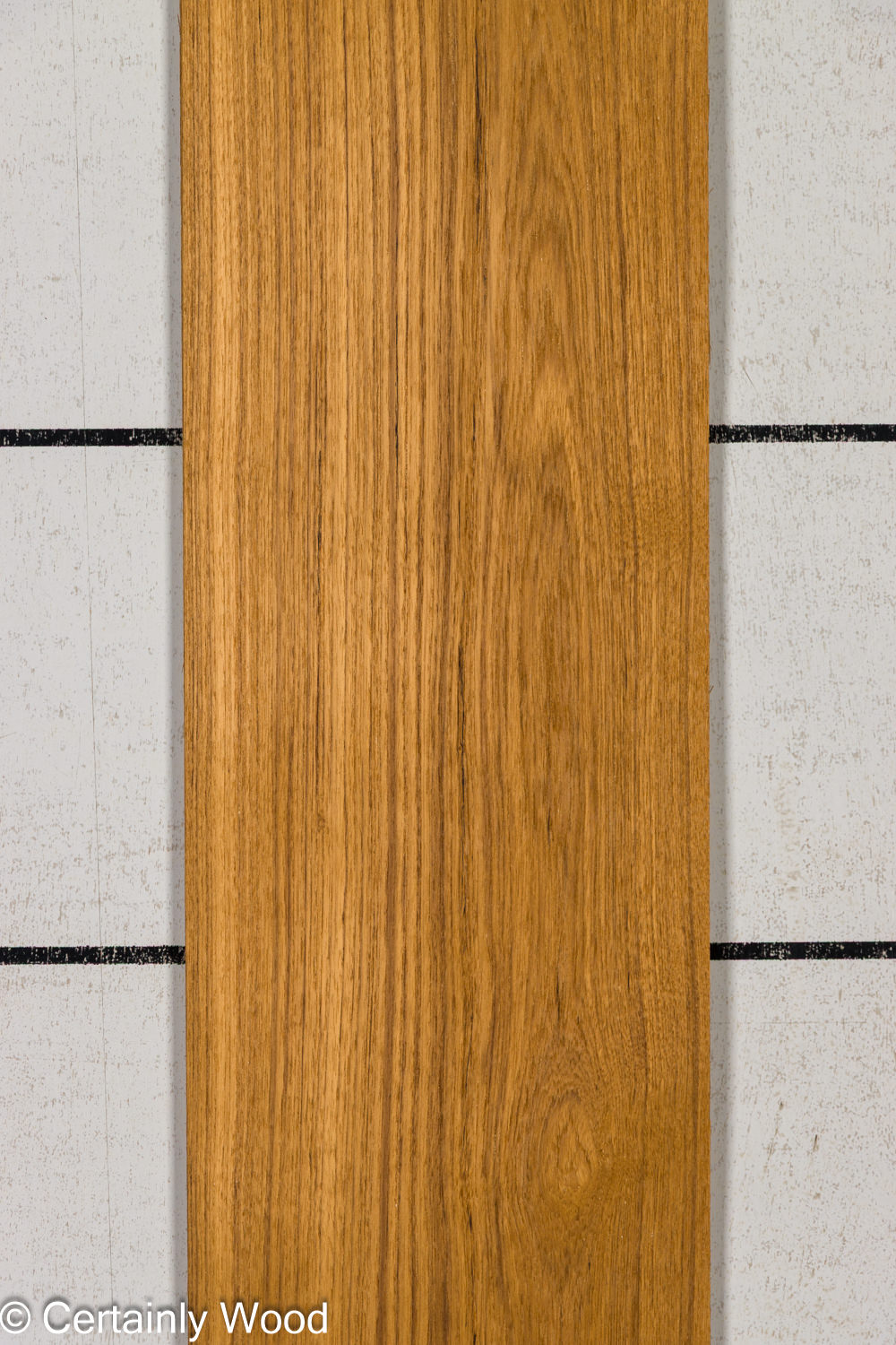 Featured Product Image