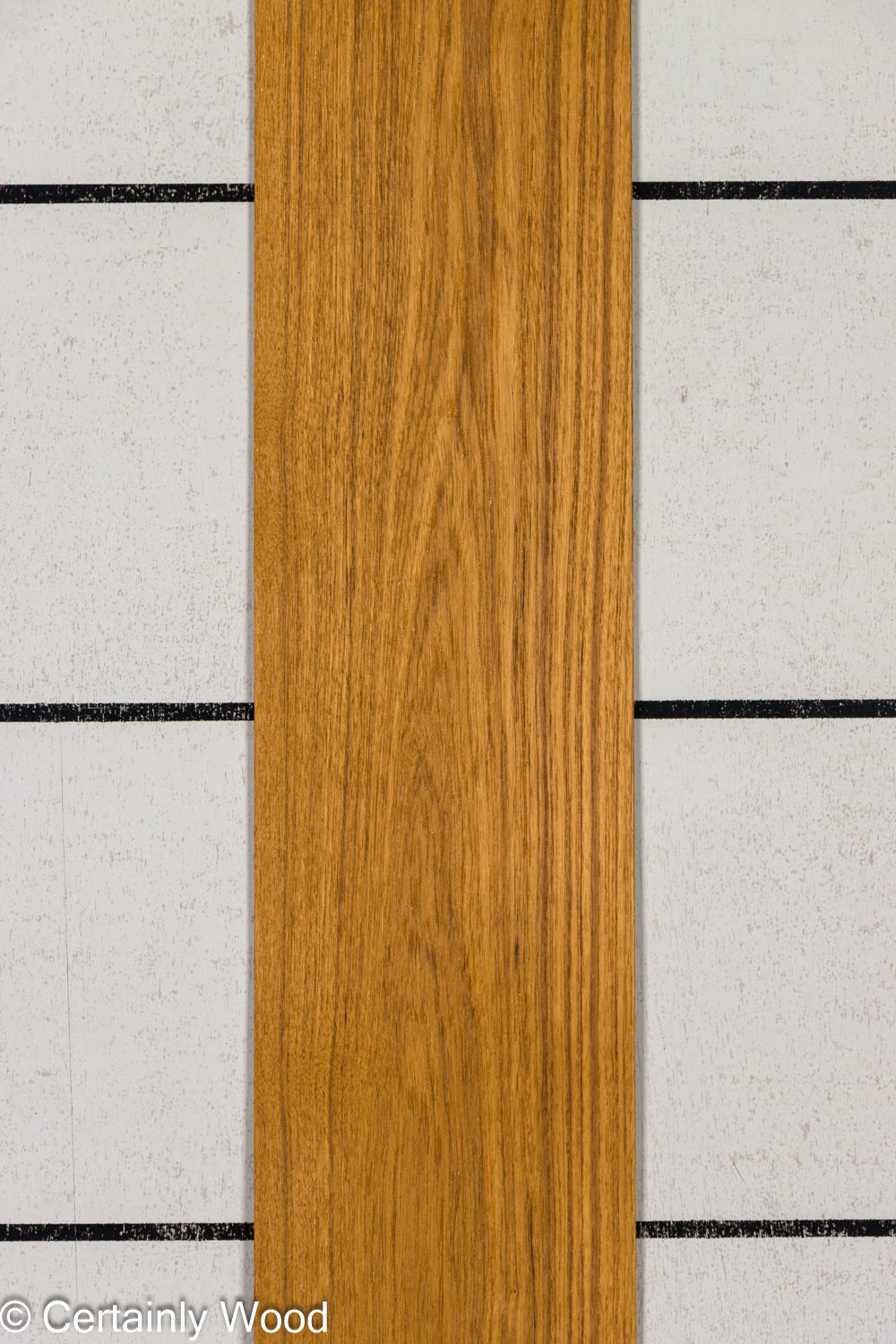 Featured Product Image