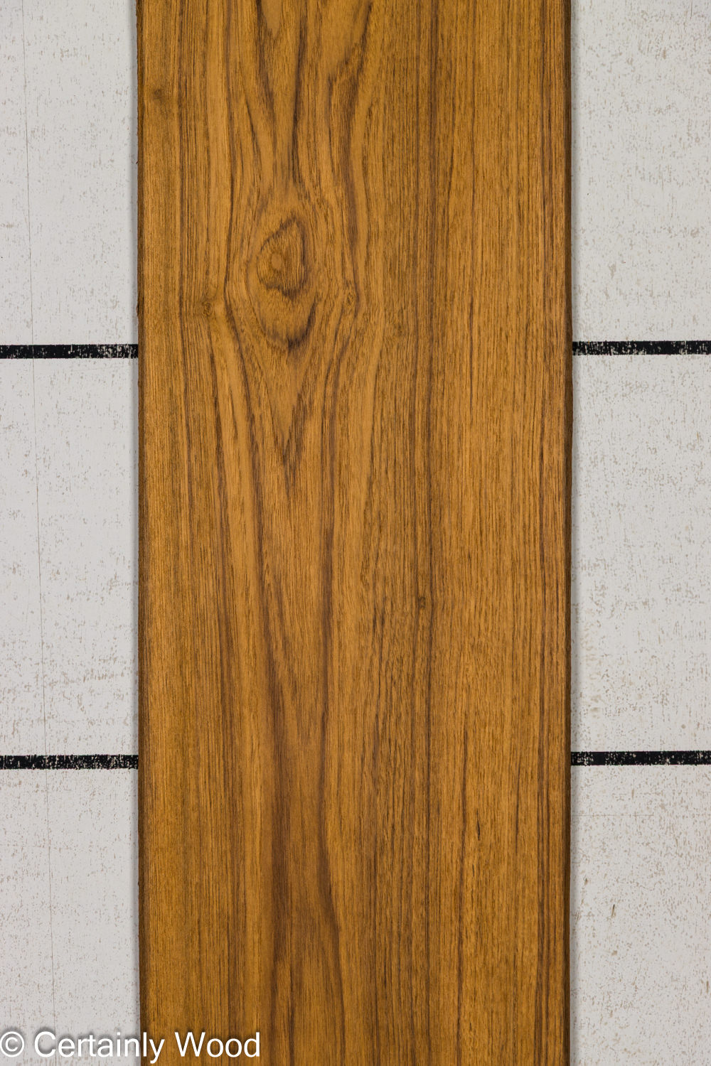 Featured Product Image