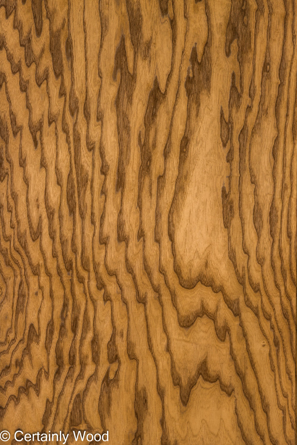 Featured Product Image