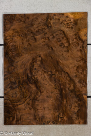 WAL BURL 26008-1