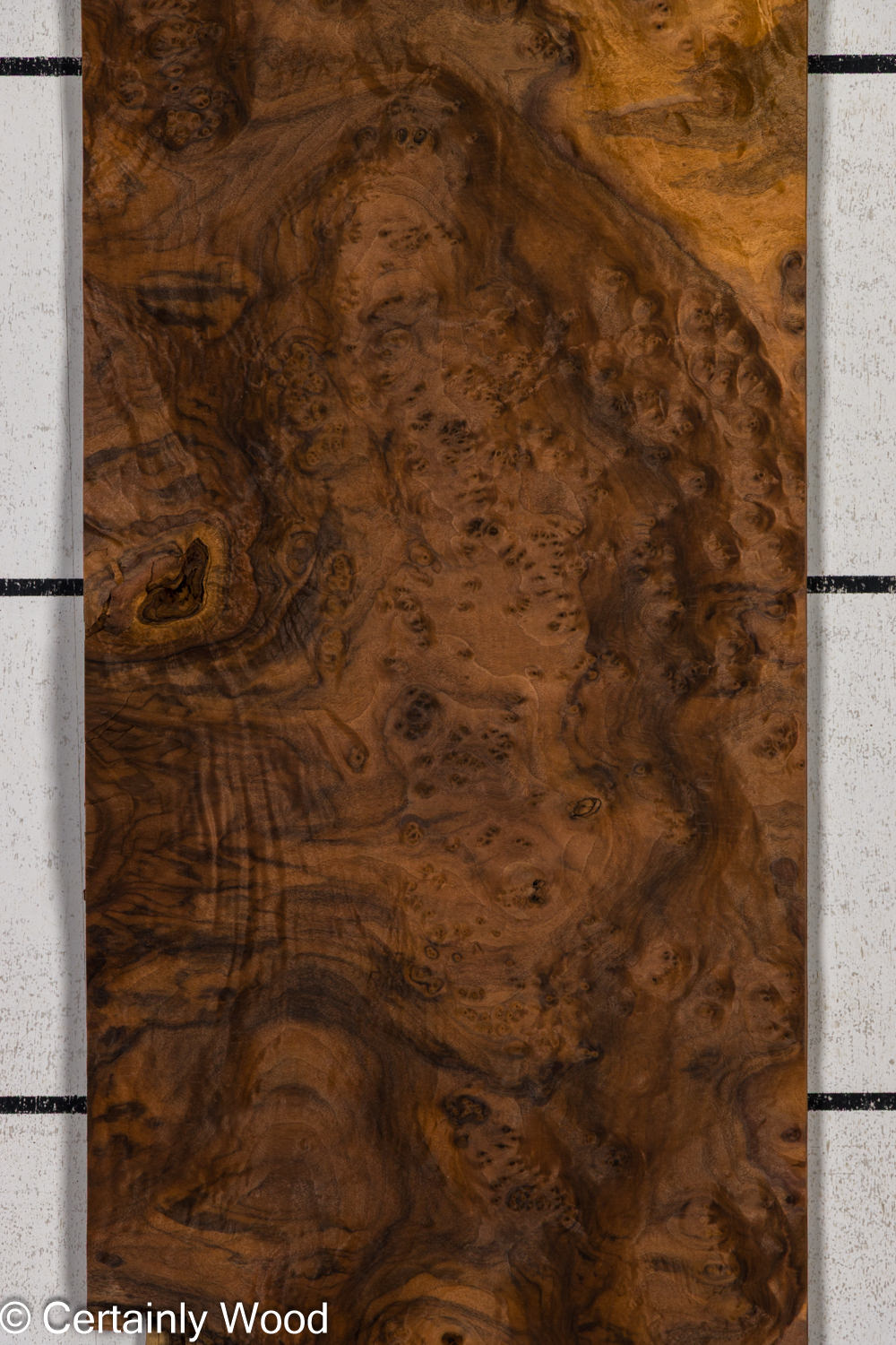 Featured Product Image