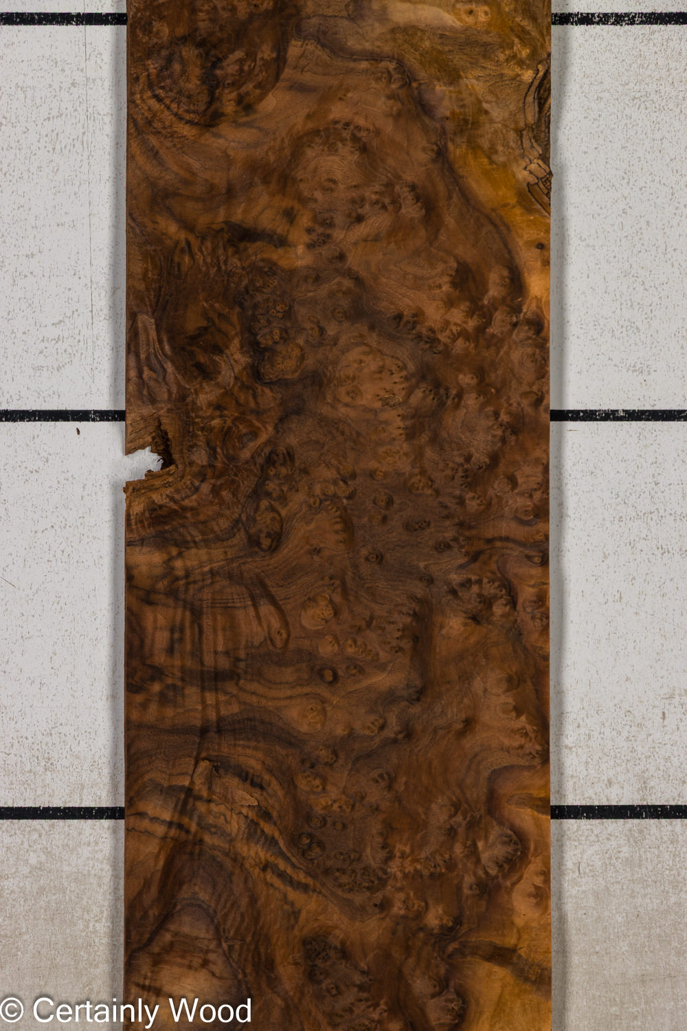 Featured Product Image