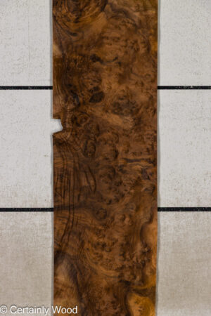 WAL BURL 26008-2C