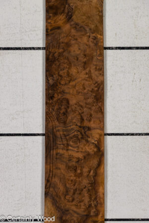 WAL BURL 26008-2D