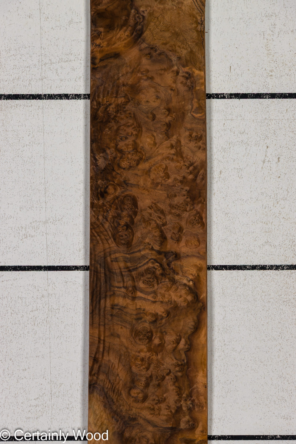 Featured Product Image