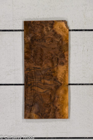 WAL BURL 26008-2E