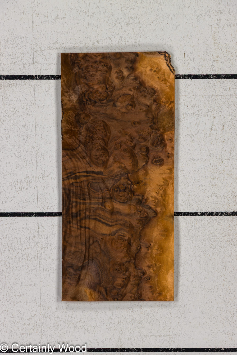 Featured Product Image