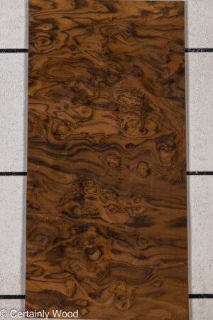 WAL BURL 26010-1A