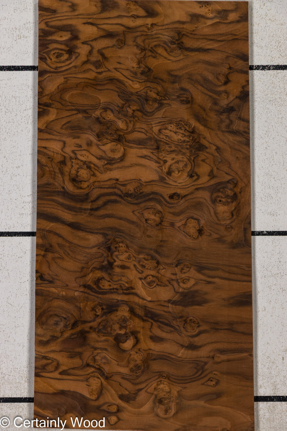 Featured Product Image