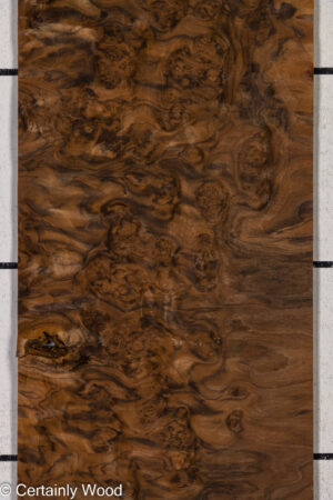 WAL BURL 26010-1C