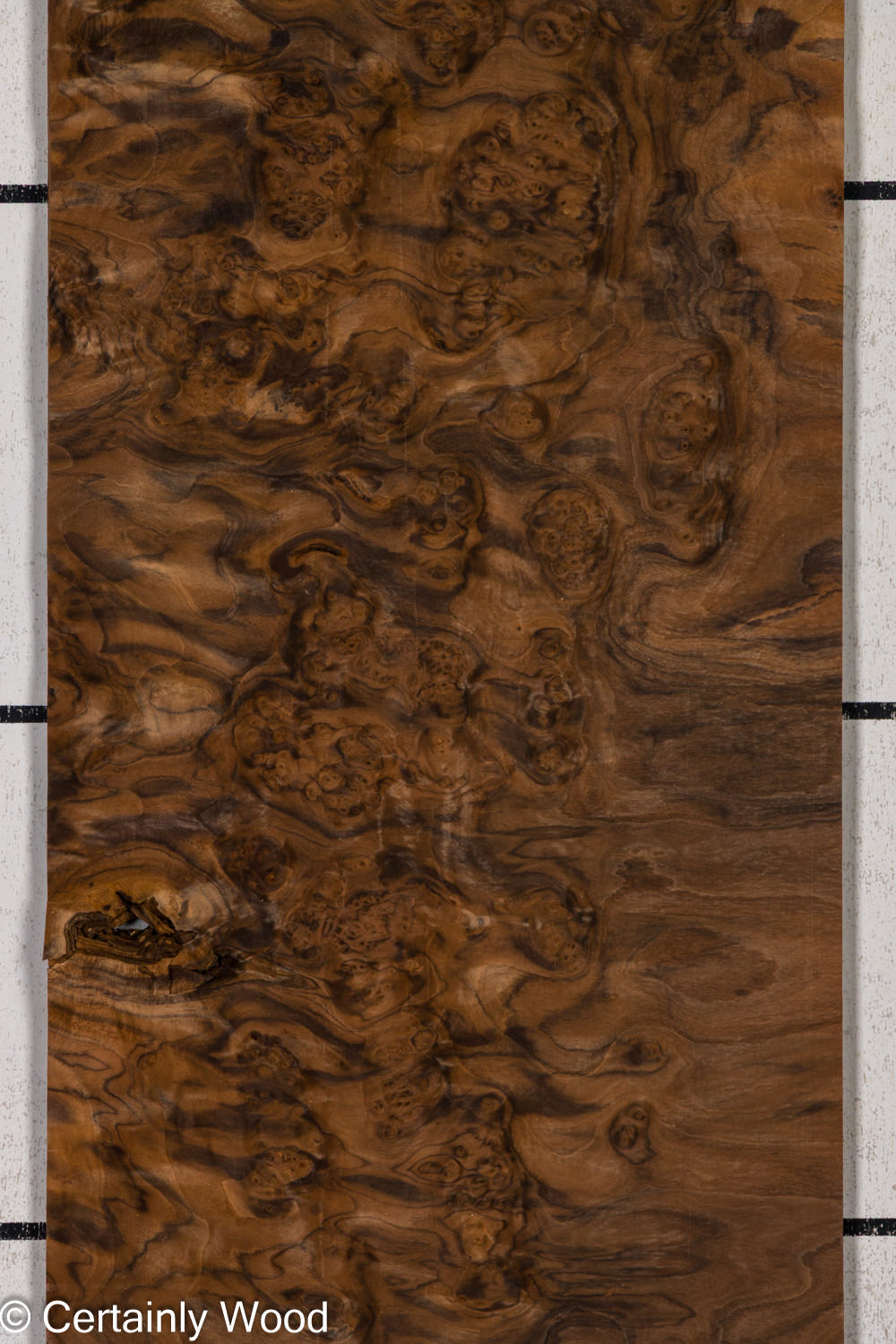 Featured Product Image