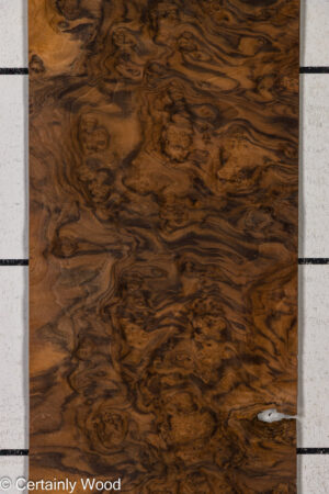 WAL BURL 26010-2A